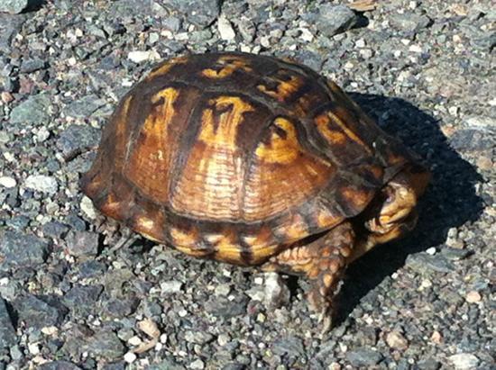 Triple C Ranch & Nature Center